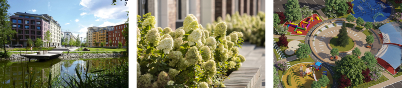 Высадите кустарники и деревья Высадите кустарники и деревья