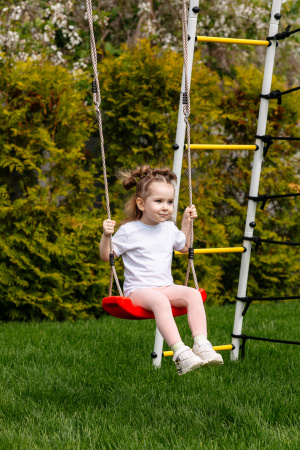 Детский спортивный комплекс для дачи ROMANA Богатырь Плюс 2 в Ставрополе ВИНКО