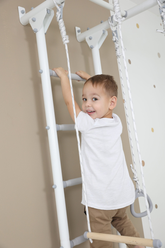 Шведская стенка DSK 3 в Ставрополе ВИНКО