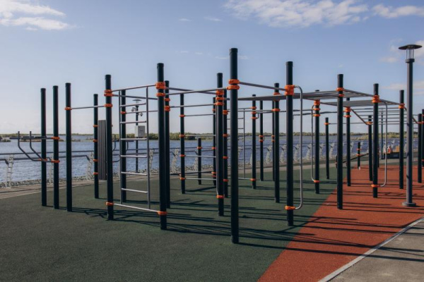 Спортивное оборудование Романа 501.74.01 в Ставрополе ВИНКО