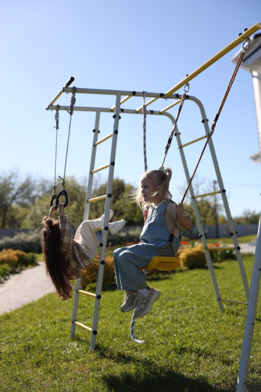 Детский спортивный комплекс для дачи ROMANA Лесная поляна - 3 в Ставрополе ВИНКО