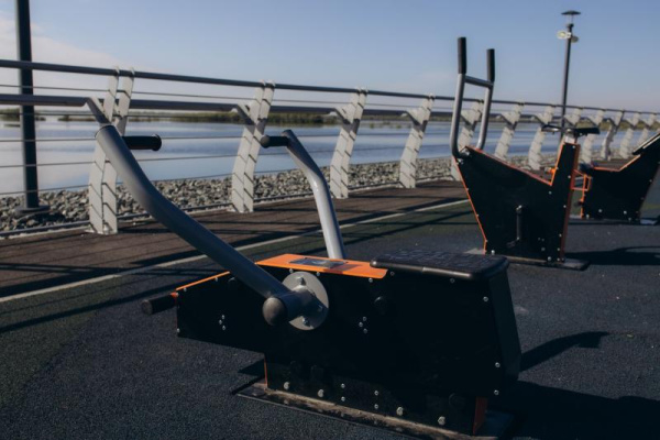 Тренажер гребной Романа 207.51.10