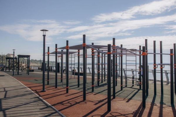 Спортивное оборудование Романа 501.74.01 в Ставрополе ВИНКО