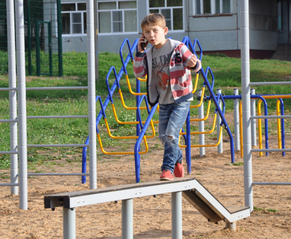 Бревно Романа 204.08.00