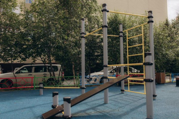 Спортивное оборудование Романа 501.09.01 в Ставрополе ВИНКО