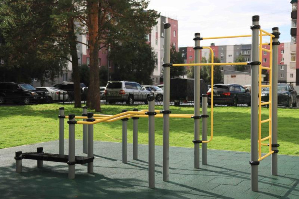 Спортивное оборудование Романа 501.53.01 в Ставрополе ВИНКО