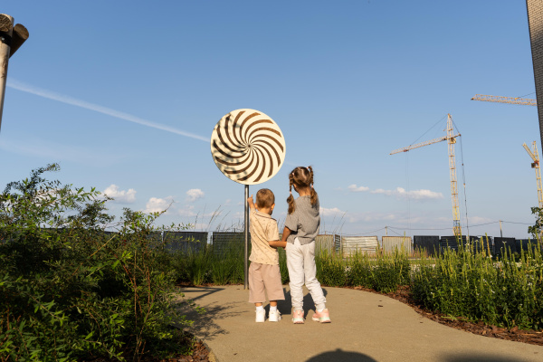 Диск оптических иллюзий ELMAF 314897