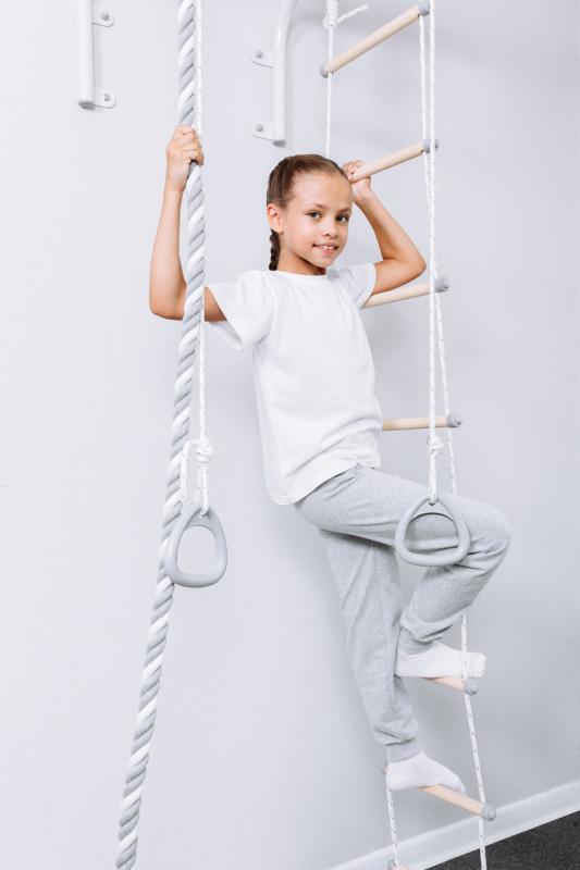 Турник настенный с навесным оборудованием ROMANA T1 в Ставрополе ВИНКО