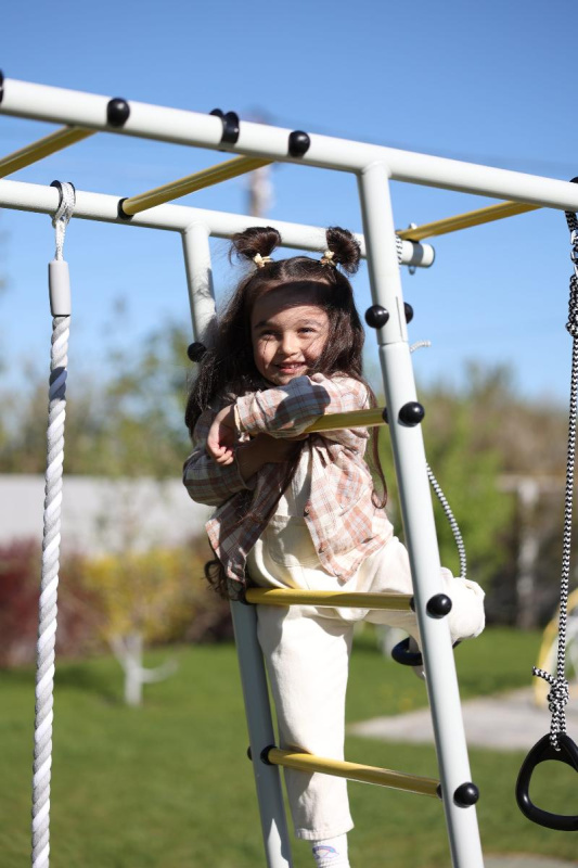 Детский спортивный комплекс для дачи ROMANA Лесная поляна - 3 в Ставрополе ВИНКО