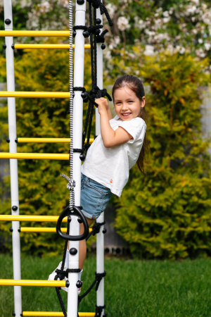 Детский спортивный комплекс для дачи ROMANA Богатырь Плюс 2 в Ставрополе ВИНКО