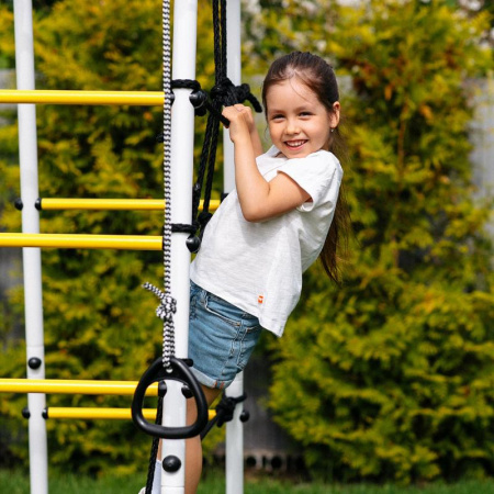 Детский спортивный комплекс для дачи ROMANA Богатырь Плюс 2 MAX в Ставрополе ВИНКО