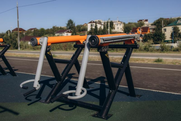 Тренажер Тяга к поясу стоя Romana 211.07.00