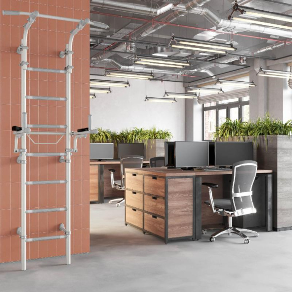 Домашний спортивный комплекс «Шведская стенка ROMANA S10» (pastel)