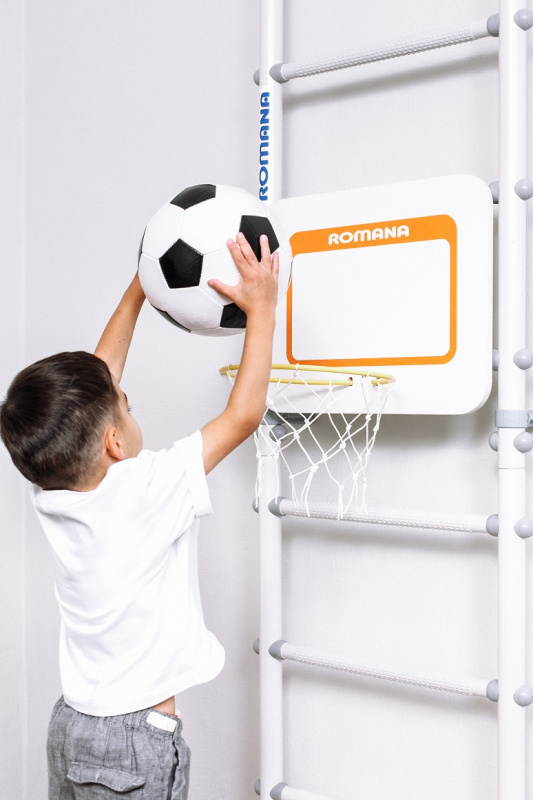 Dop12 Щит баскетбольный ROMANA в Ставрополе ВИНКО