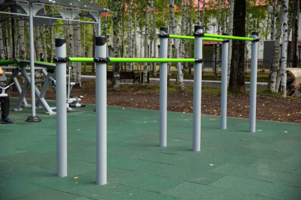 Спортивное оборудование Романа 501.18.01 в Ставрополе ВИНКО