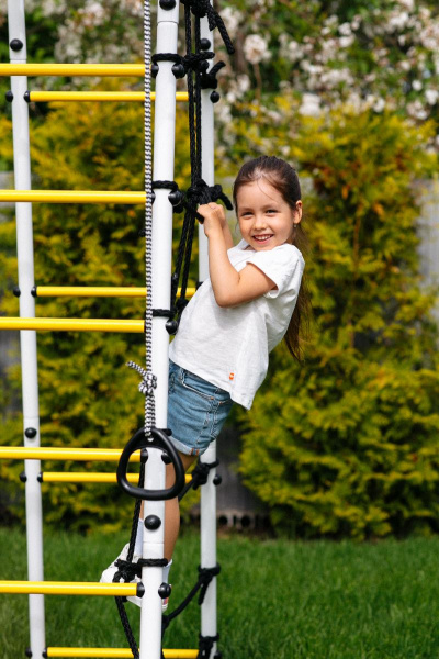 Детский спортивный комплекс для дачи ROMANA Богатырь MAX в Ставрополе ВИНКО